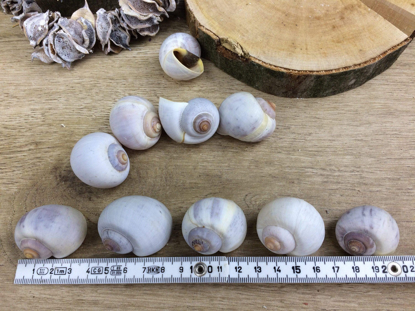 Schneckenhäuser 10 Stück Schnecke Haus Schneckenhaus Herbst herbstlich natürlich getrocknet gekalkt – handgemacht aus Seiden- und Kunstblumen, langlebig & pflegeleicht von SarahsFlowerStudio