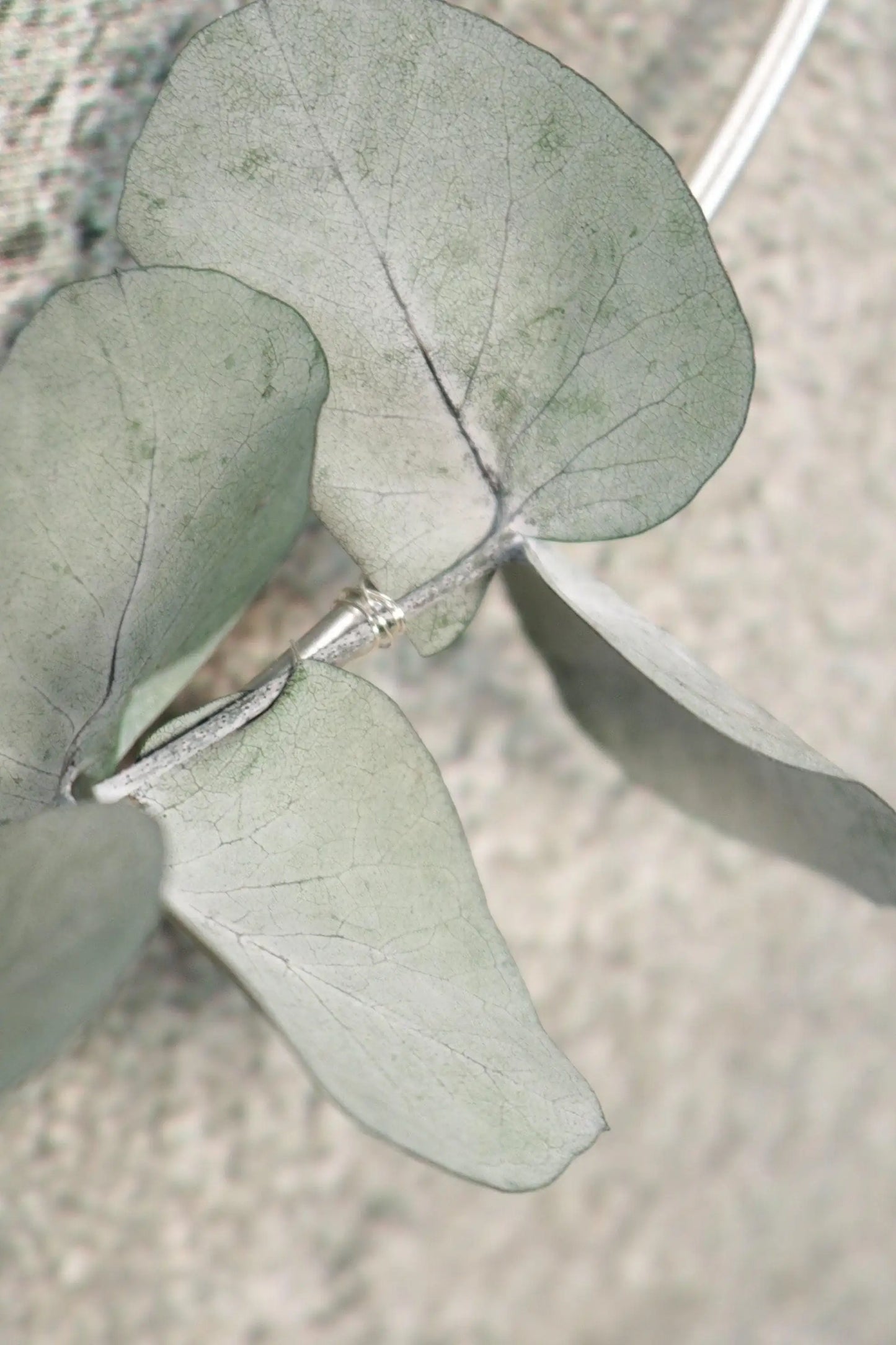 Türkranz Eukalyptus Kranz Ring Wandkranz Trockenblumen Natur Eukalyptus natürlich Hoop Fensterdeko – handgemacht aus Seiden- und Kunstblumen, langlebig & pflegeleicht von SarahsFlowerStudio