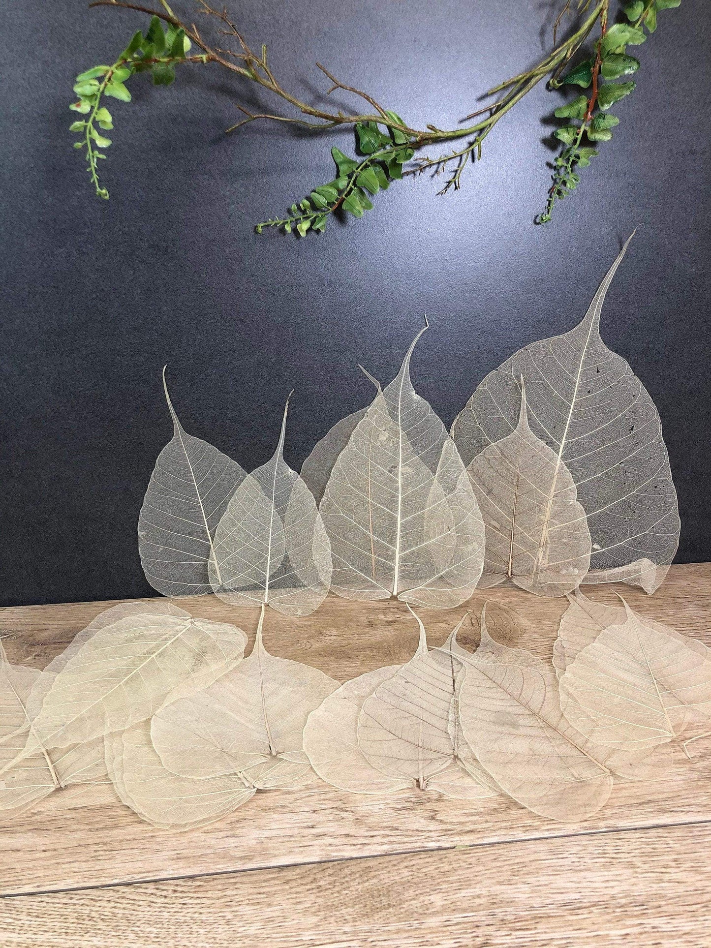 200 Skelettblätter Schleierblätter Weiß – handgemacht aus Seiden- und Kunstblumen, langlebig & pflegeleicht von SarahsFlowerStudio