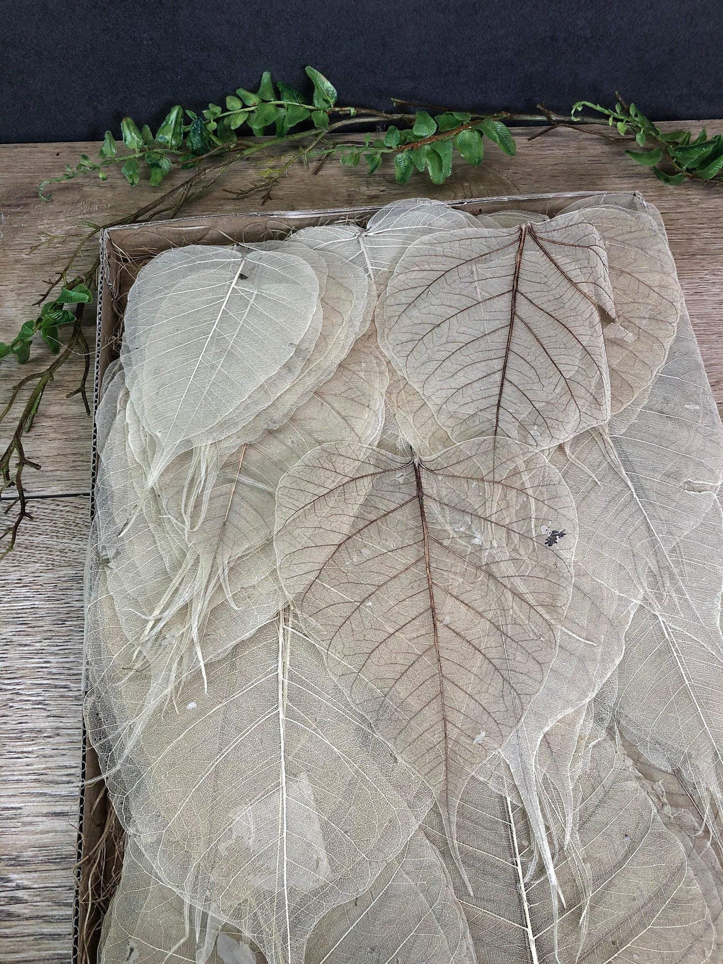 200 Skelettblätter Schleierblätter Weiß – handgemacht aus Seiden- und Kunstblumen, langlebig & pflegeleicht von SarahsFlowerStudio