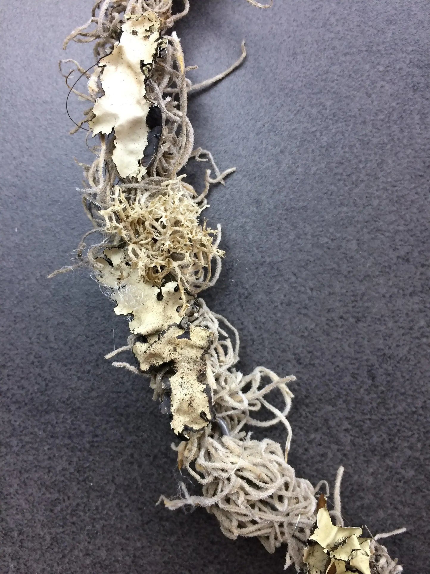 Türkranz Herbst Herbstlich Türschmuck Modern Tür Schmuck Wunschgröße ganzjährig Boho Eicheln Filz Natur Moos Skelettblätter Buchecker – handgemacht aus Seiden- und Kunstblumen, langlebig & pflegeleicht von SarahsFlowerStudio