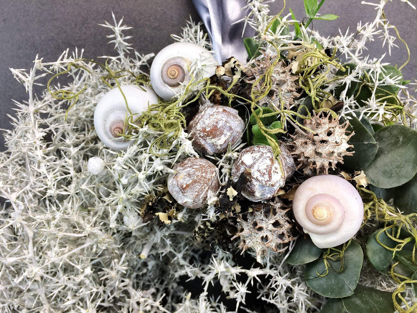 Türkranz Kranz Natur Trockenmaterial Handgebunden Modern ganzjährig Türschmuck Wachs Wachskranz gewachst Weiß Asparagus Eukalyptus Schnecke – handgemacht aus Seiden- und Kunstblumen, langlebig & pflegeleicht von SarahsFlowerStudio