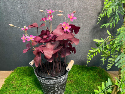 Klee Kleepflanze Glücksklee Dreiblättriger Klee Rot Künstlich Topf Metalltopf Eimer Metalleimer Pflanze Künstlich Kunstblumen Faux Flower – handgemacht aus Seiden- und Kunstblumen, langlebig & pflegeleicht von SarahsFlowerStudio