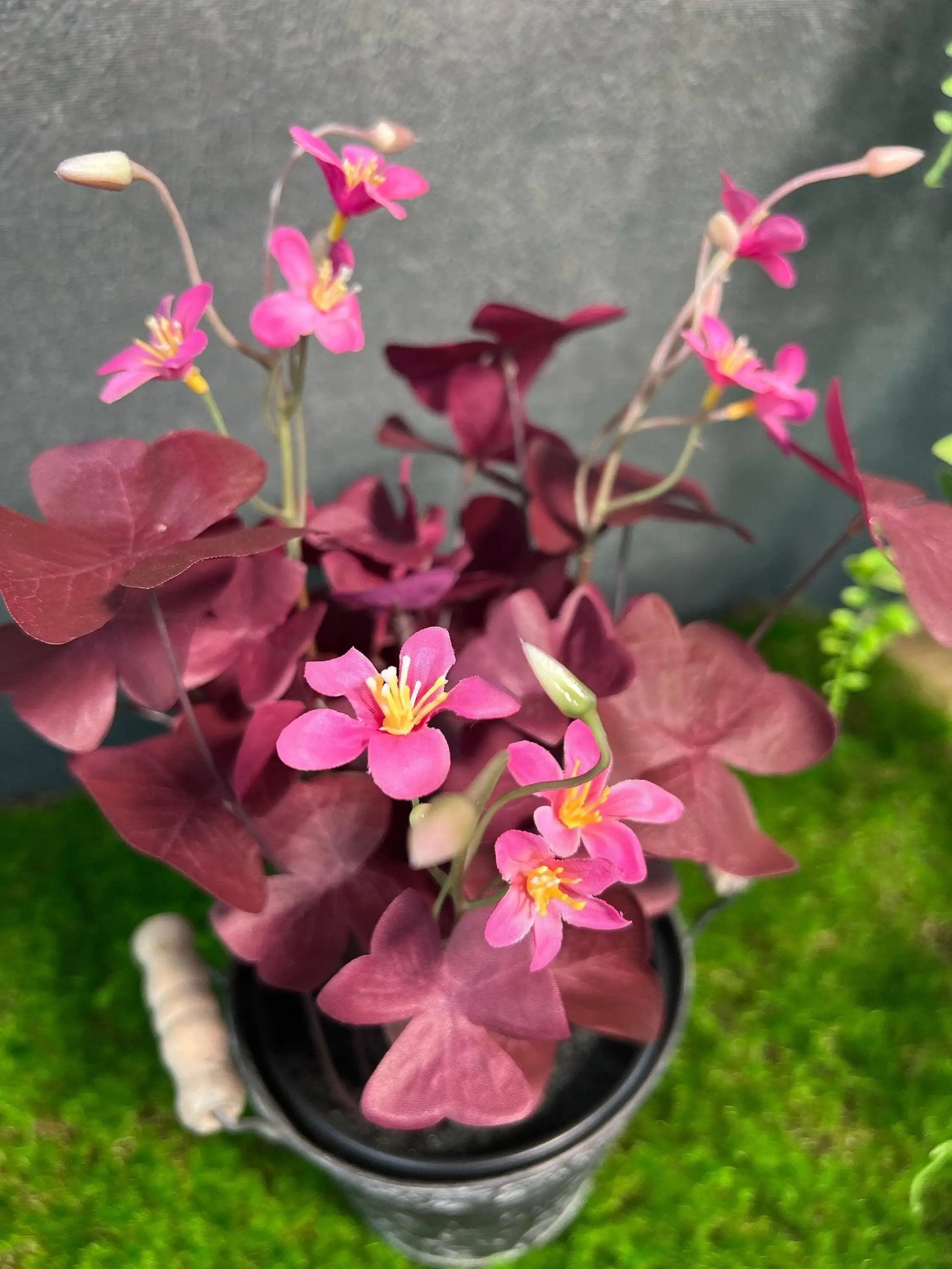Klee Kleepflanze Glücksklee Dreiblättriger Klee Rot Künstlich Topf Metalltopf Eimer Metalleimer Pflanze Künstlich Kunstblumen Faux Flower – handgemacht aus Seiden- und Kunstblumen, langlebig & pflegeleicht von SarahsFlowerStudio