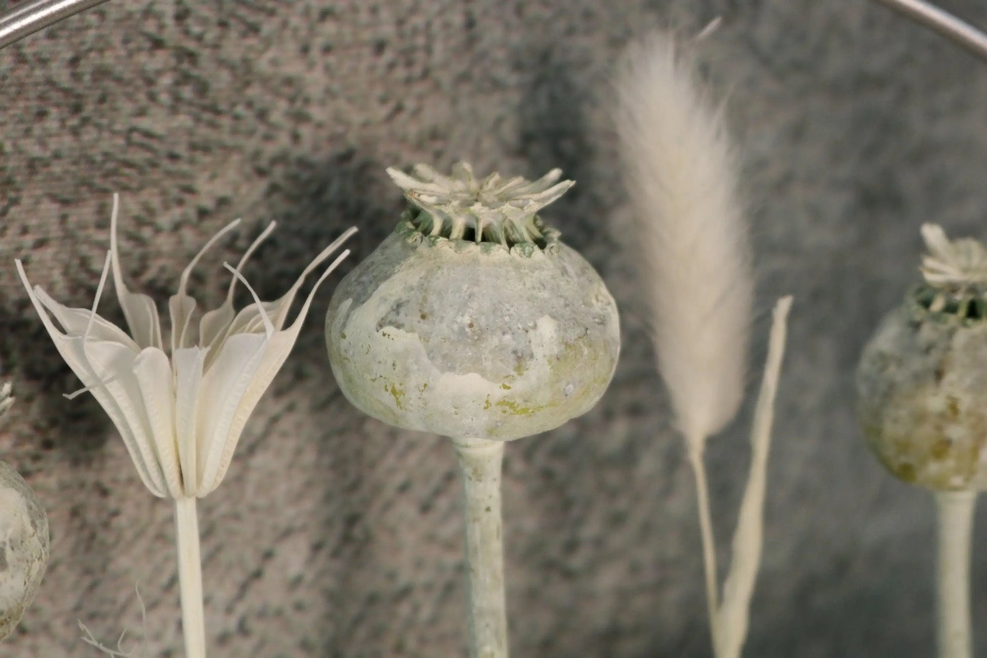 Türkranz Kranz Ring Gräser Wandkranz Trockenblumen Natur natürlich Hoop Fensterdeko – handgemacht aus Seiden- und Kunstblumen, langlebig & pflegeleicht von SarahsFlowerStudio