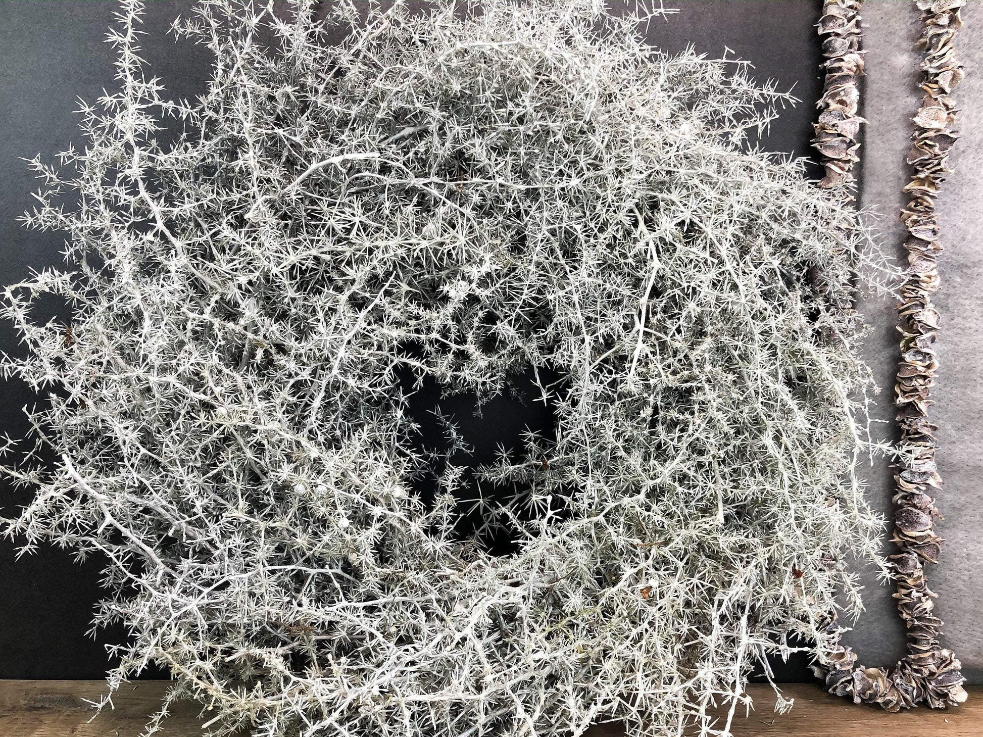 Türkranz Kranz Natur Trrockenblumen Trockenmaterial Handgebunden Modern ganzjährig Asperagus Eukalyptus Herbst – handgemacht aus Seiden- und Kunstblumen, langlebig & pflegeleicht von SarahsFlowerStudio