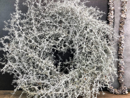 Türkranz Kranz Natur Trrockenblumen Trockenmaterial Handgebunden Modern ganzjährig Asperagus Eukalyptus Herbst – handgemacht aus Seiden- und Kunstblumen, langlebig & pflegeleicht von SarahsFlowerStudio