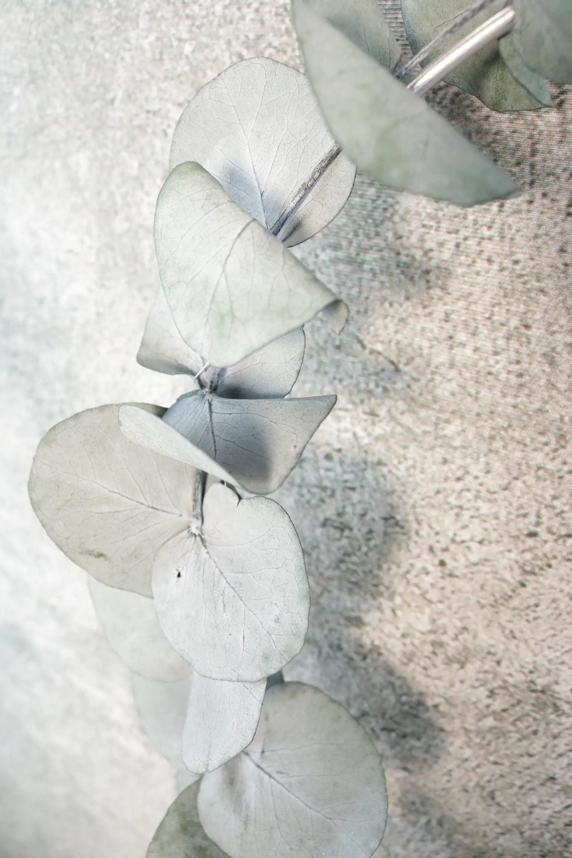 Türkranz Eukalyptus Kranz Ring Wandkranz Trockenblumen Natur Eukalyptus natürlich Hoop Fensterdeko – handgemacht aus Seiden- und Kunstblumen, langlebig & pflegeleicht von SarahsFlowerStudio