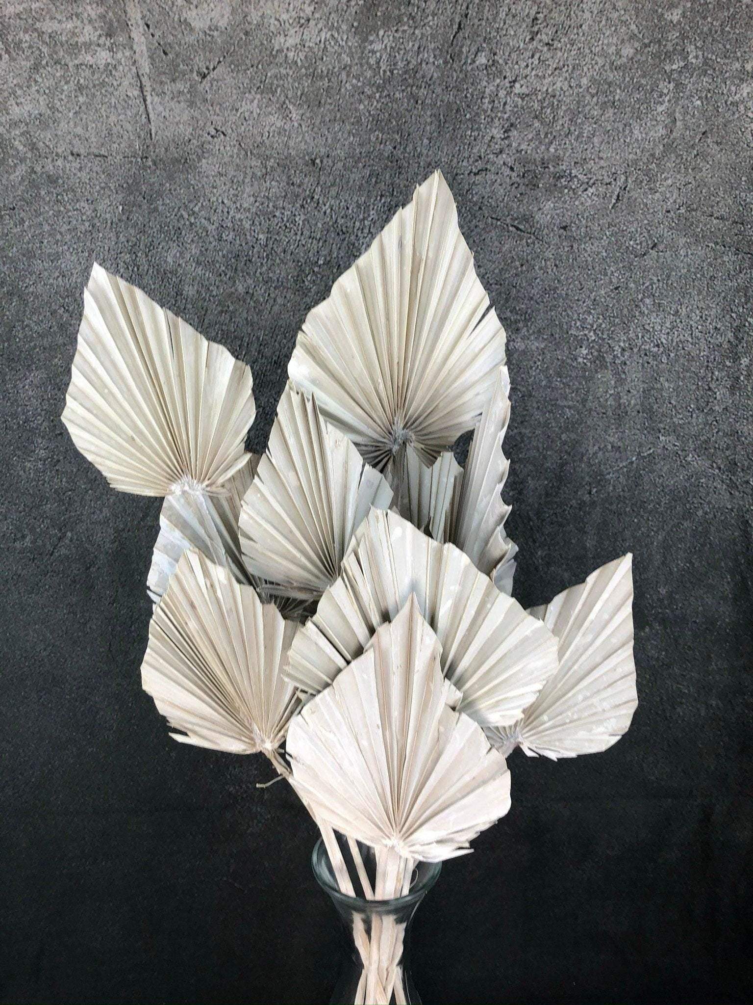 Palmblätter Palmspeer Weiß Gekalkt Trockenblumen Trockenmaterial Natur natürlich dried bouquet dried Flowers – handgemacht aus Seiden- und Kunstblumen, langlebig & pflegeleicht von SarahsFlowerStudio
