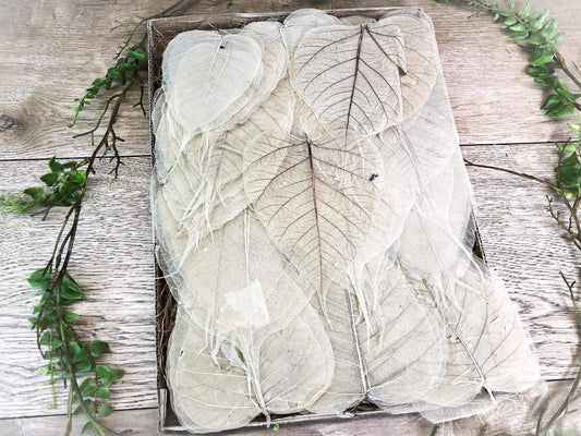 200 Skelettblätter Schleierblätter Weiß – handgemacht aus Seiden- und Kunstblumen, langlebig & pflegeleicht von SarahsFlowerStudio