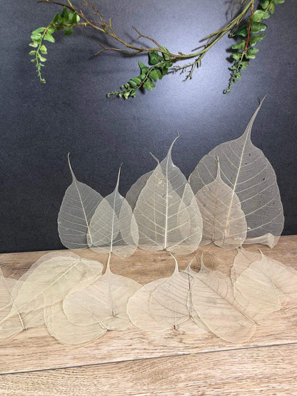 200 Skelettblätter Schleierblätter Weiß – handgemacht aus Seiden- und Kunstblumen, langlebig & pflegeleicht von SarahsFlowerStudio