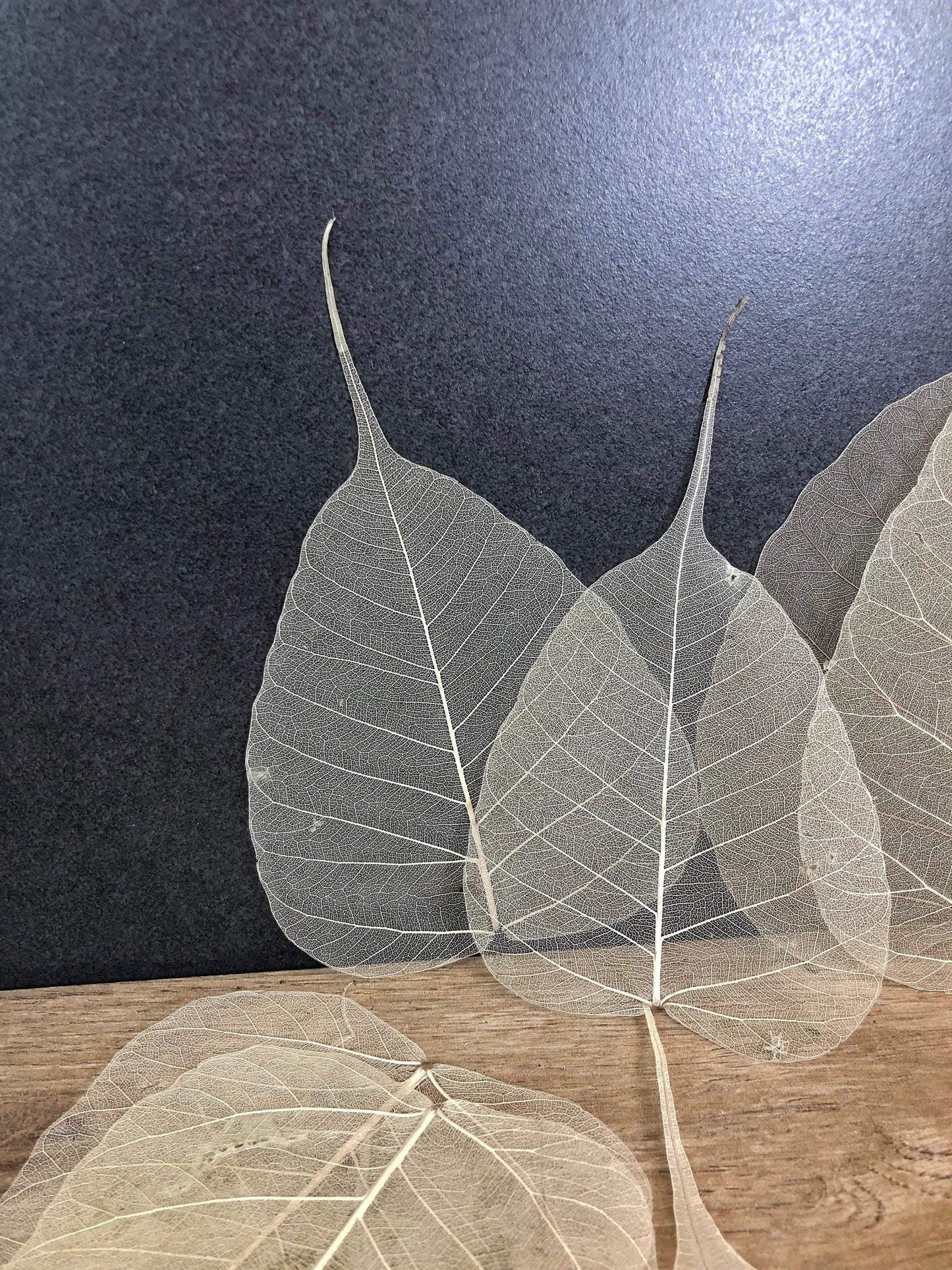 200 Skelettblätter Schleierblätter Weiß – handgemacht aus Seiden- und Kunstblumen, langlebig & pflegeleicht von SarahsFlowerStudio