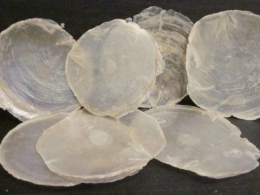 15 Capiz Muschel Scheiben 10cm – handgemacht aus Seiden- und Kunstblumen, langlebig & pflegeleicht von SarahsFlowerStudio