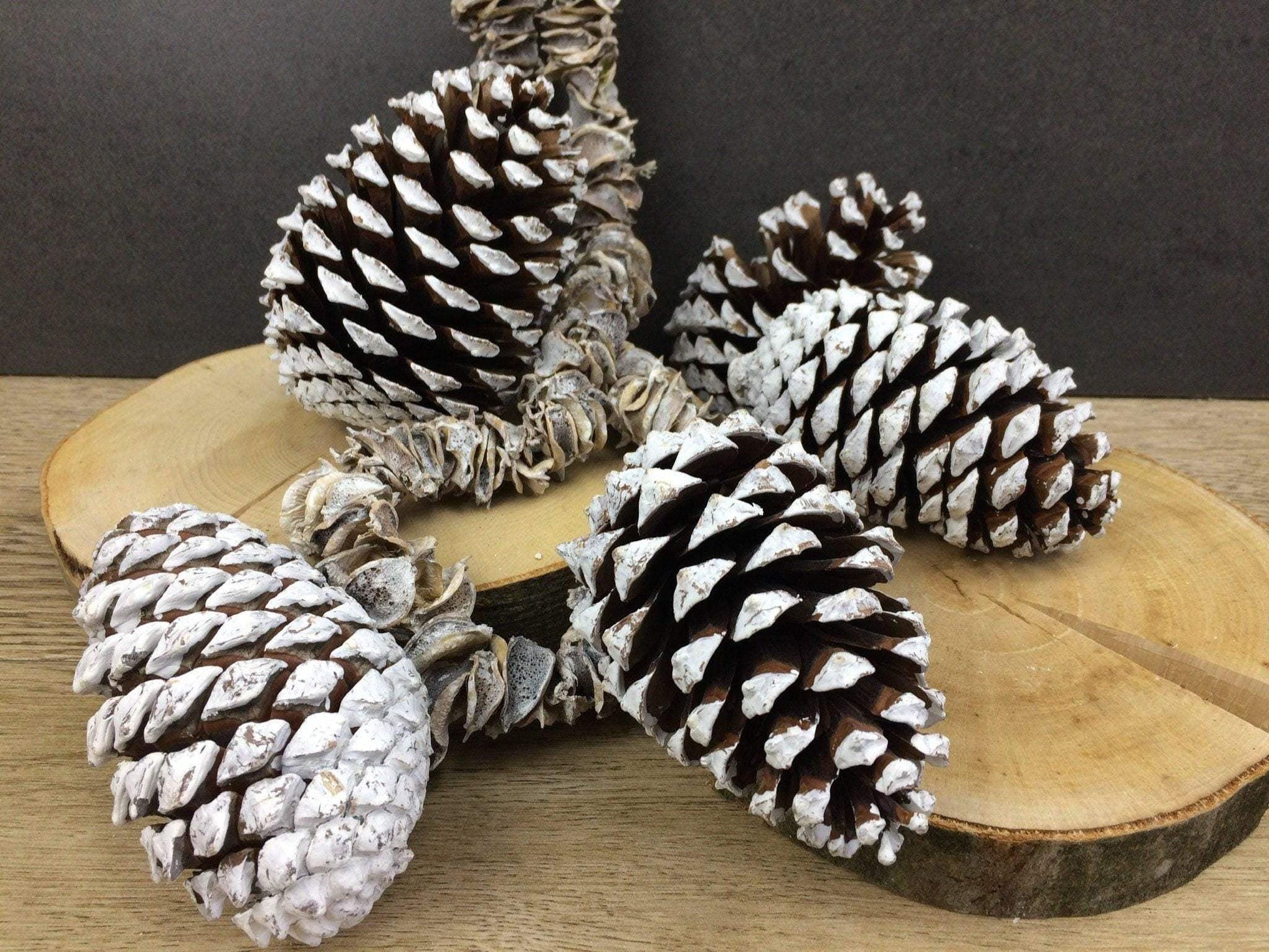 Zapfen groß 5 Stück Zapfen Weihnachten Weihnachtlich Hutzel Herbst herbstlich natürlich getrocknet gekalkt Zapfen Hutzel Herbst Weihnachten – handgemacht aus Seiden- und Kunstblumen, langlebig & pflegeleicht von SarahsFlowerStudio