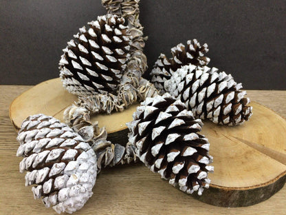Zapfen groß 5 Stück Zapfen Weihnachten Weihnachtlich Hutzel Herbst herbstlich natürlich getrocknet gekalkt Zapfen Hutzel Herbst Weihnachten – handgemacht aus Seiden- und Kunstblumen, langlebig & pflegeleicht von SarahsFlowerStudio