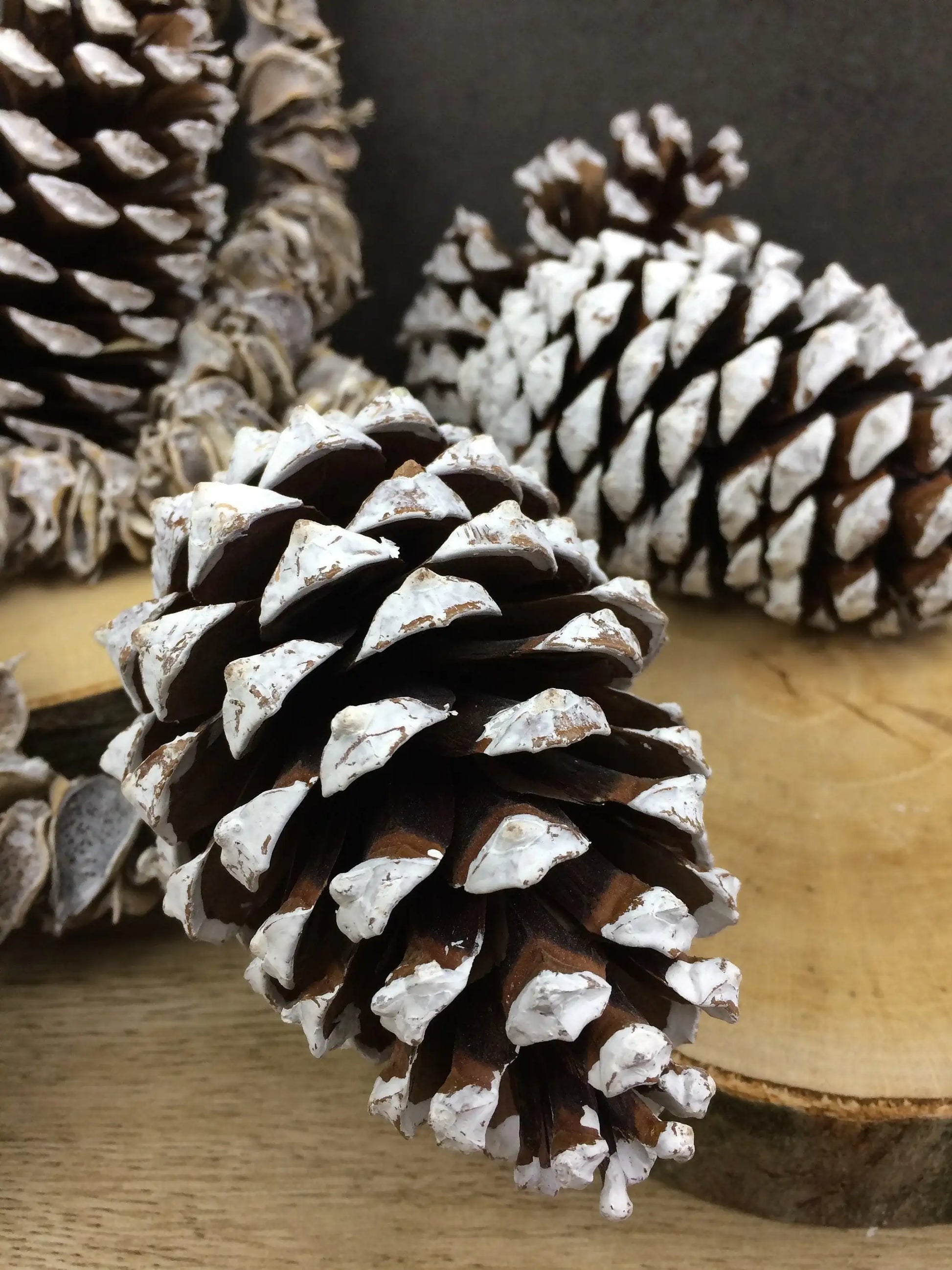 Zapfen groß 5 Stück Zapfen Weihnachten Weihnachtlich Hutzel Herbst herbstlich natürlich getrocknet gekalkt Zapfen Hutzel Herbst Weihnachten – handgemacht aus Seiden- und Kunstblumen, langlebig & pflegeleicht von SarahsFlowerStudio
