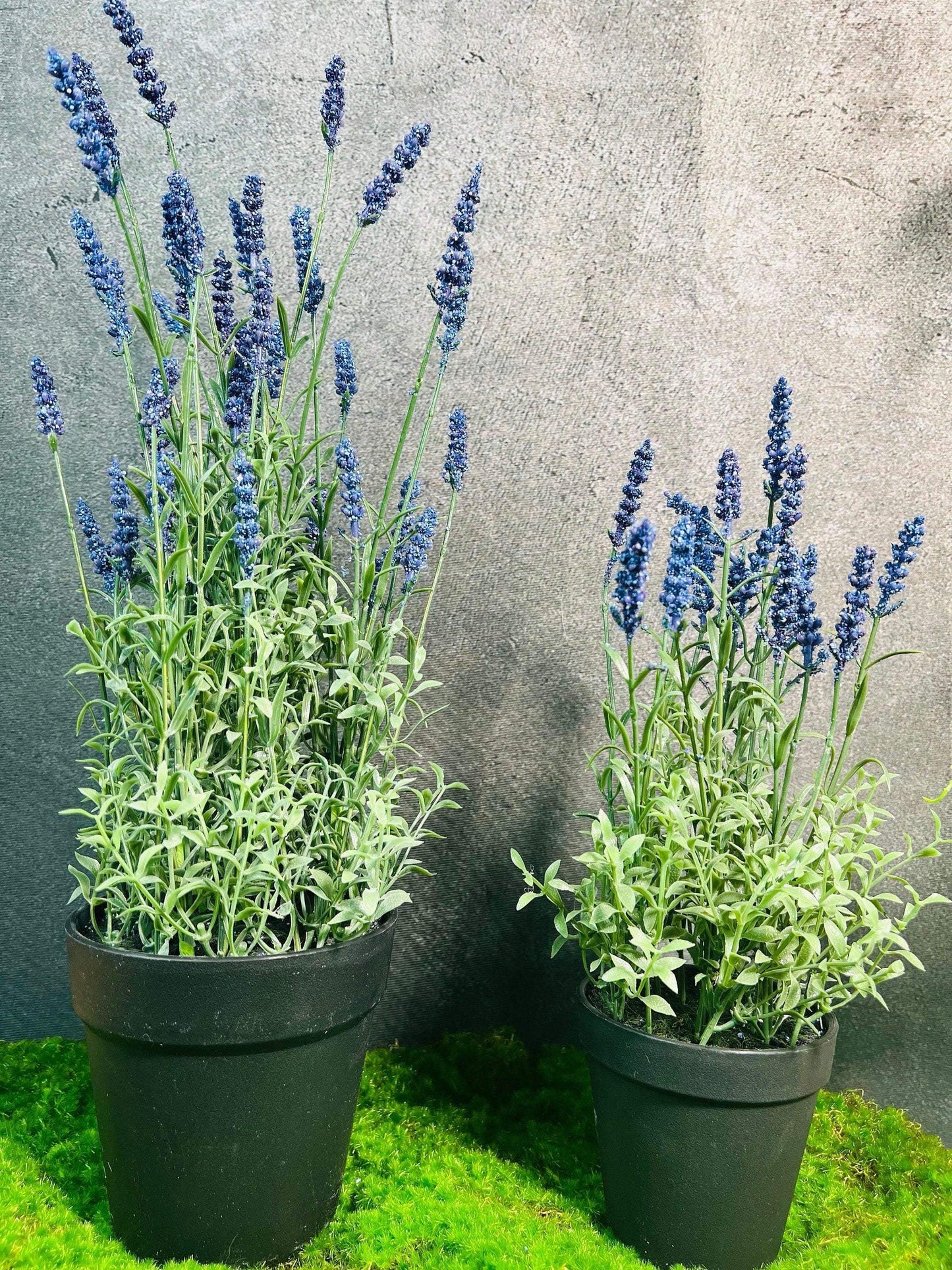 Lavendel Lavendelpflanze Lavendelbusch Topf Metalltopf Eimer Metalleimer Pflanze Künstlich Kunstblumen Faux Flower – handgemacht aus Seiden- und Kunstblumen, langlebig & pflegeleicht von SarahsFlowerStudio