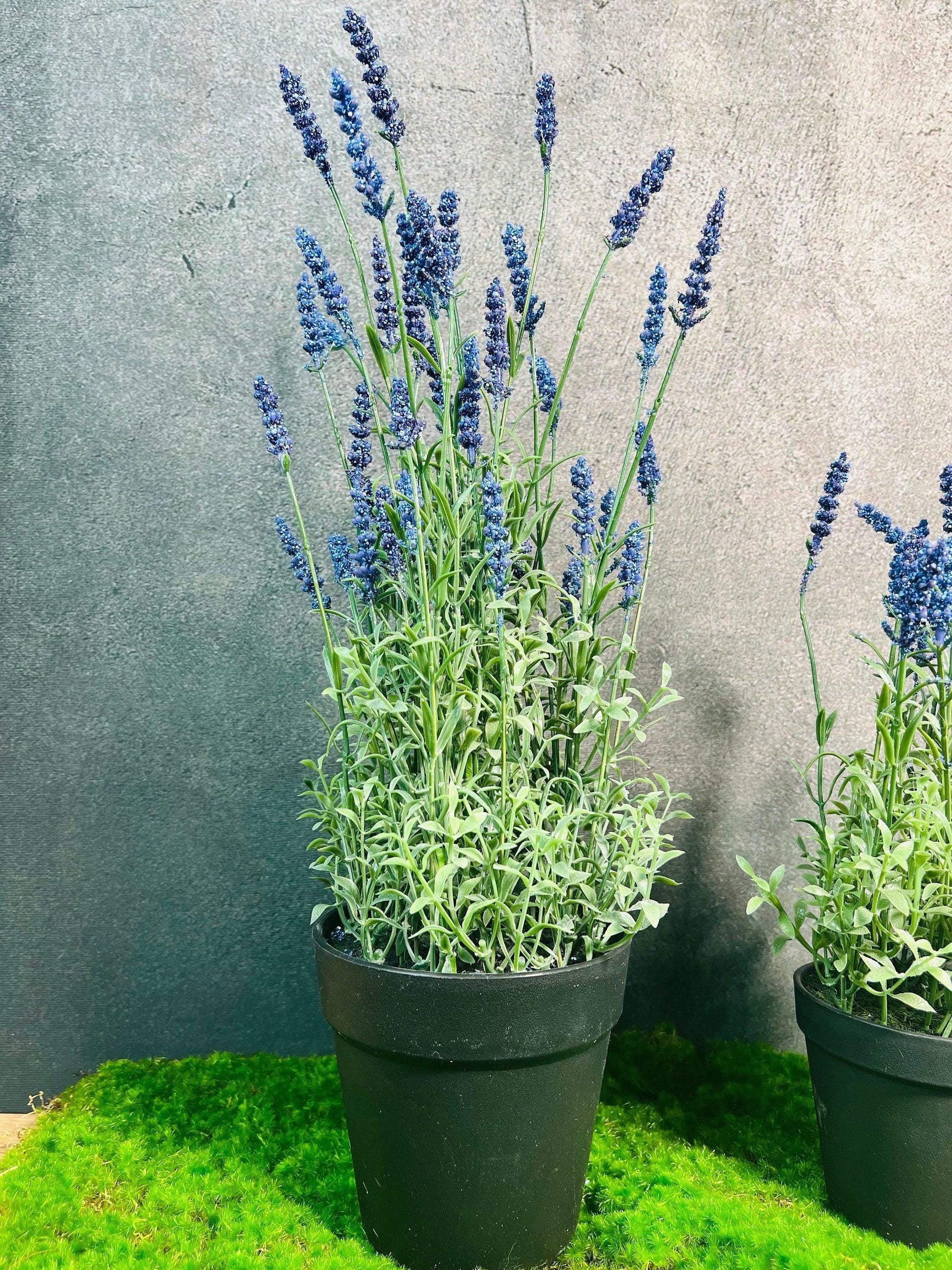 Lavendel Lavendelpflanze Lavendelbusch Topf Metalltopf Eimer Metalleimer Pflanze Künstlich Kunstblumen Faux Flower – handgemacht aus Seiden- und Kunstblumen, langlebig & pflegeleicht von SarahsFlowerStudio