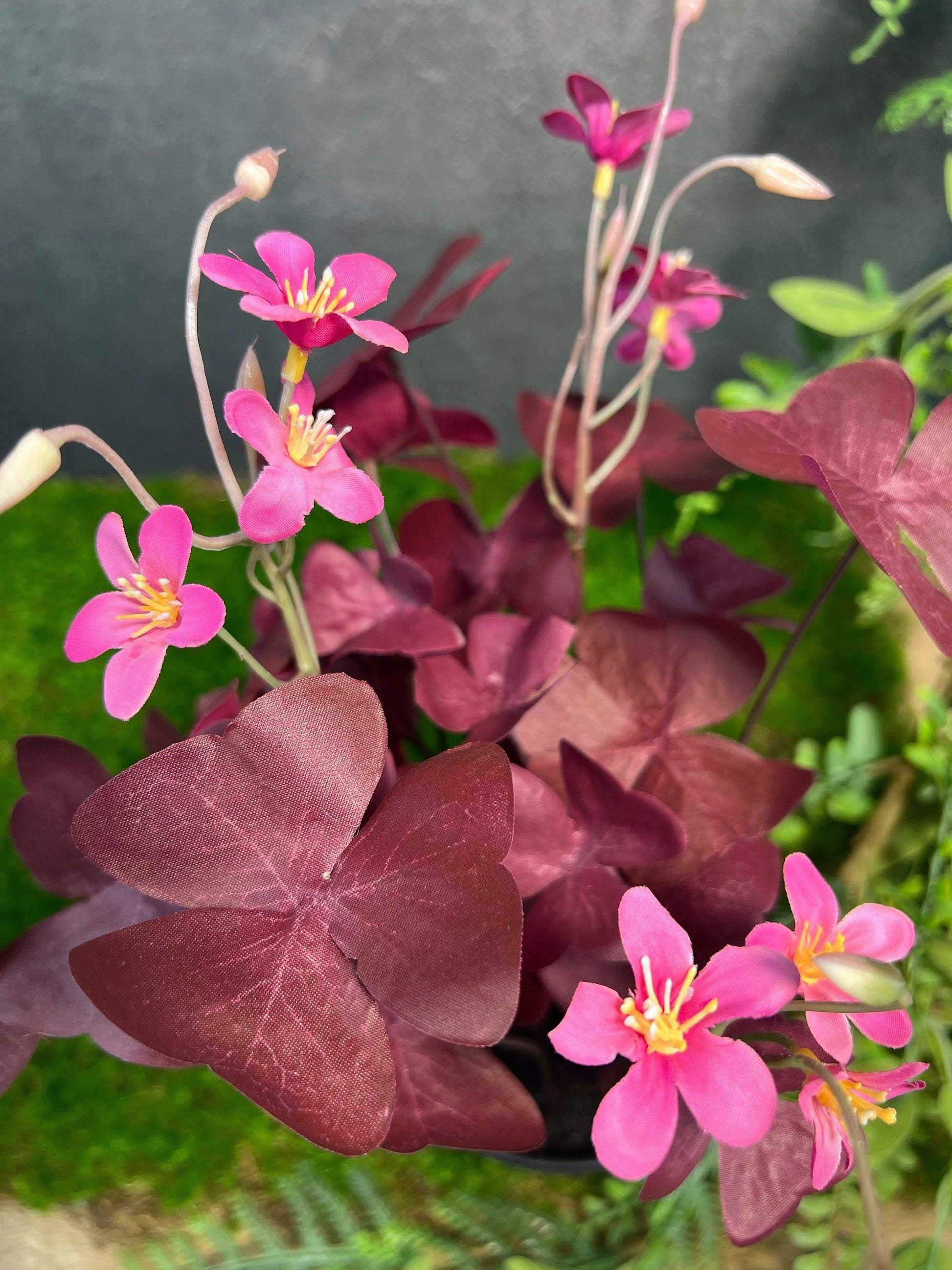 Klee Kleepflanze Glücksklee Dreiblättriger Klee Rot Künstlich Topf Metalltopf Eimer Metalleimer Pflanze Künstlich Kunstblumen Faux Flower – handgemacht aus Seiden- und Kunstblumen, langlebig & pflegeleicht von SarahsFlowerStudio
