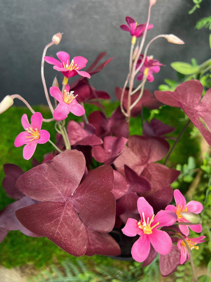 Klee Kleepflanze Glücksklee Dreiblättriger Klee Rot Künstlich Topf Metalltopf Eimer Metalleimer Pflanze Künstlich Kunstblumen Faux Flower – handgemacht aus Seiden- und Kunstblumen, langlebig & pflegeleicht von SarahsFlowerStudio