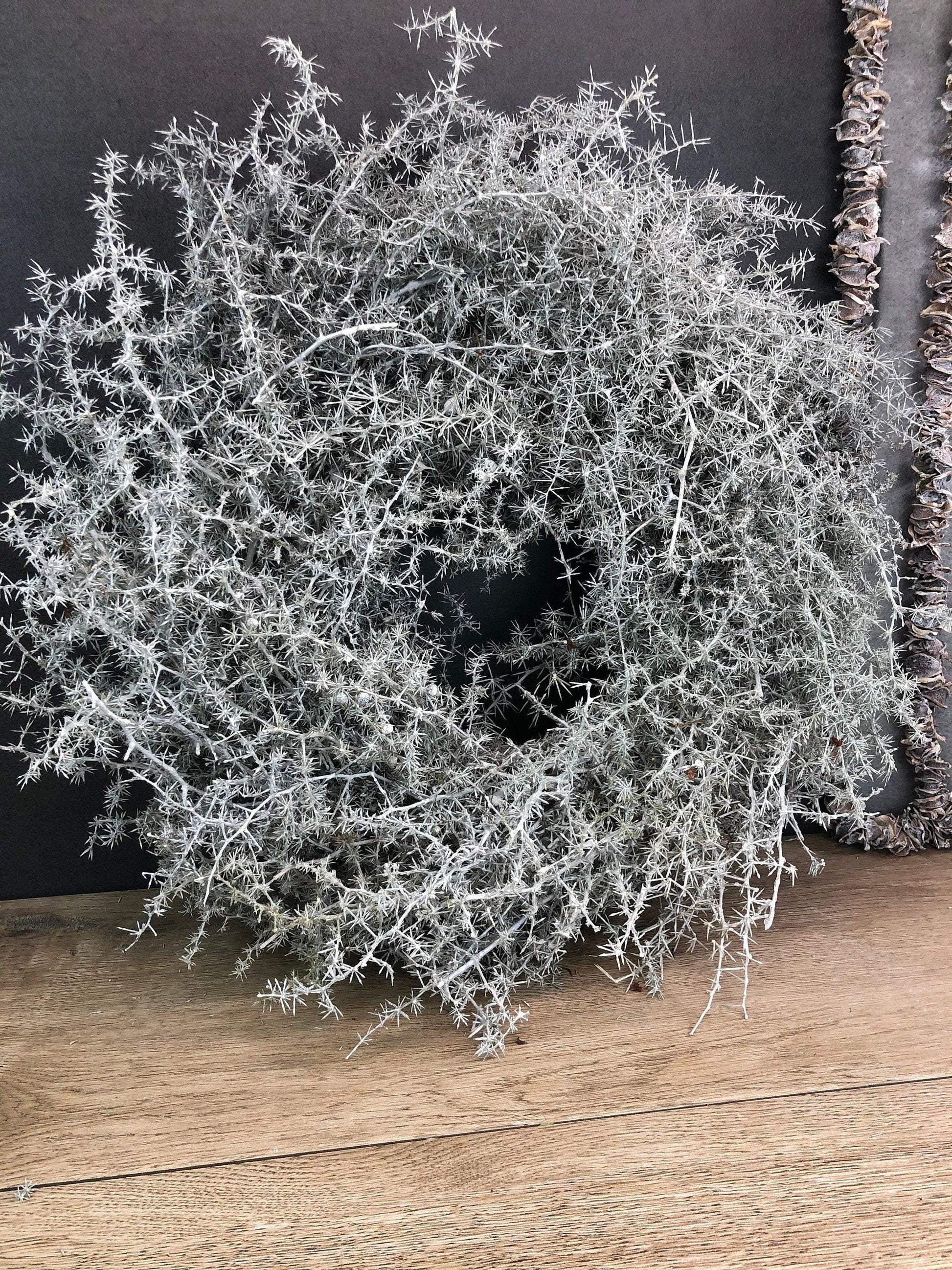 Türkranz Kranz Natur Trrockenblumen Trockenmaterial Handgebunden Modern ganzjährig Asperagus Eukalyptus Herbst – handgemacht aus Seiden- und Kunstblumen, langlebig & pflegeleicht von SarahsFlowerStudio