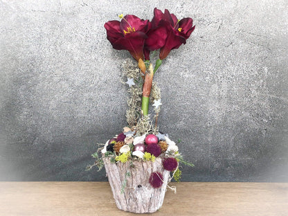 Adventsgesteck Gesteck Amaryllis Beere Modern Rund Moos Thuja Zapfen Rot Weiß – handgemacht aus Seiden- und Kunstblumen, langlebig & pflegeleicht von SarahsFlowerStudio