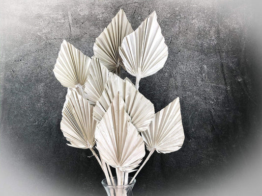 Palmblätter Palmspeer Weiß Gekalkt Trockenblumen Trockenmaterial Natur natürlich dried bouquet dried Flowers – handgemacht aus Seiden- und Kunstblumen, langlebig & pflegeleicht von SarahsFlowerStudio