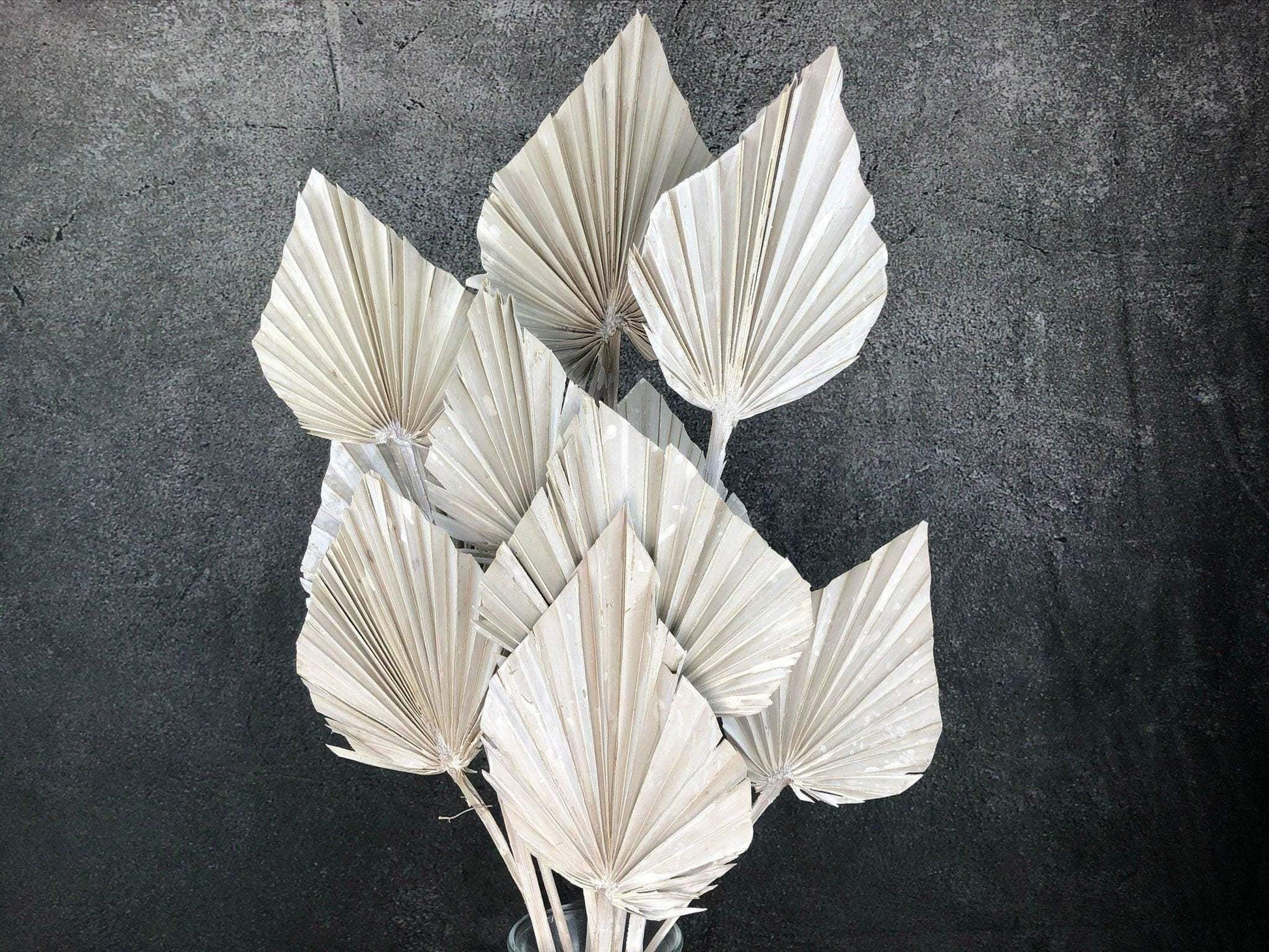 Palmblätter Palmspeer Weiß Gekalkt Trockenblumen Trockenmaterial Natur natürlich dried bouquet dried Flowers – handgemacht aus Seiden- und Kunstblumen, langlebig & pflegeleicht von SarahsFlowerStudio