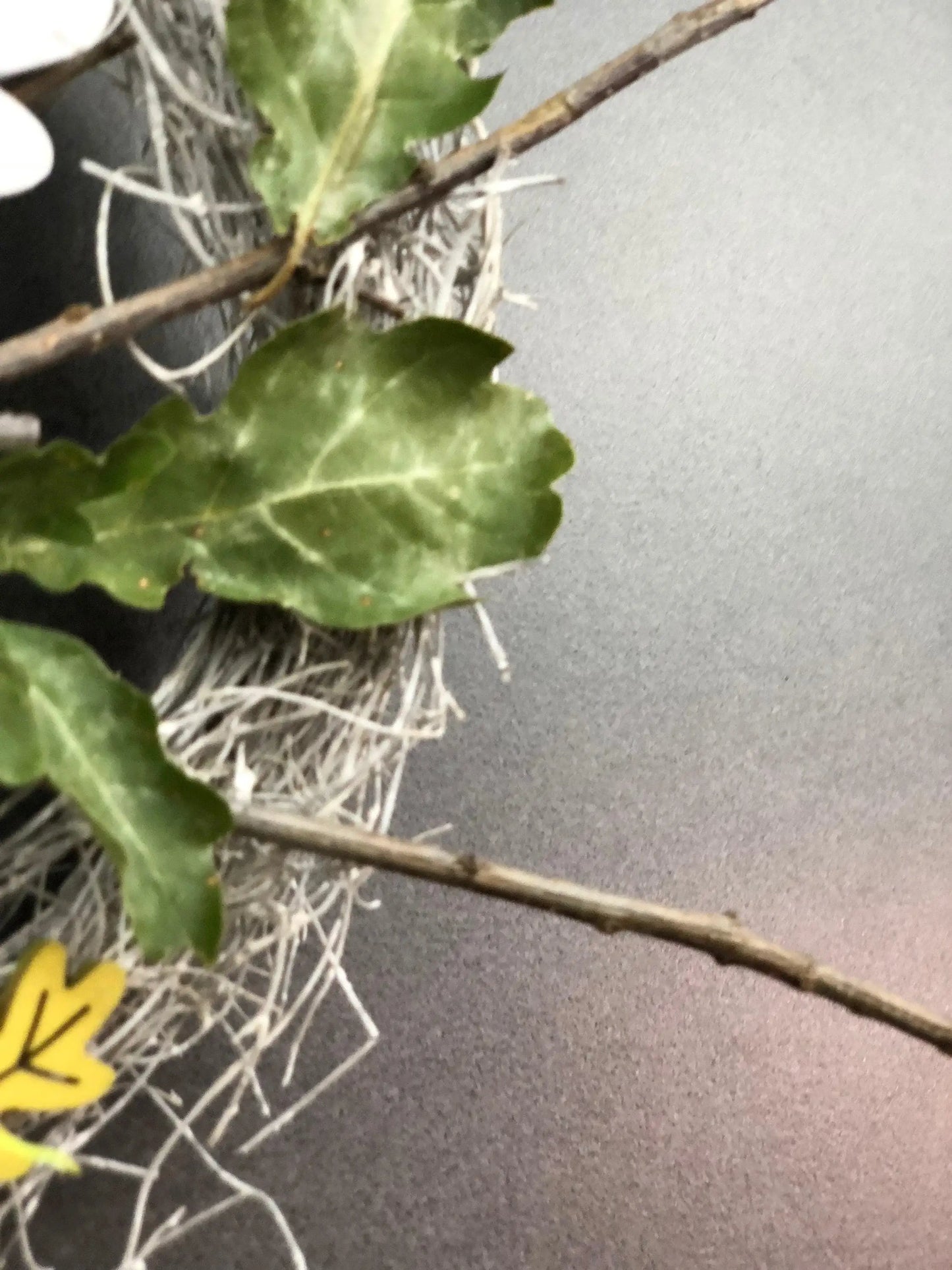 Türkranz 22cm Türdeko Türschmuck Eule Modern Tür Schmuck Herbst herbstlich ganzjährig Herbst – handgemacht aus Seiden- und Kunstblumen, langlebig & pflegeleicht von SarahsFlowerStudio