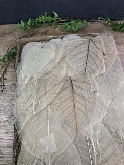 200 Skelettblätter Schleierblätter Weiß – handgemacht aus Seiden- und Kunstblumen, langlebig & pflegeleicht von SarahsFlowerStudio