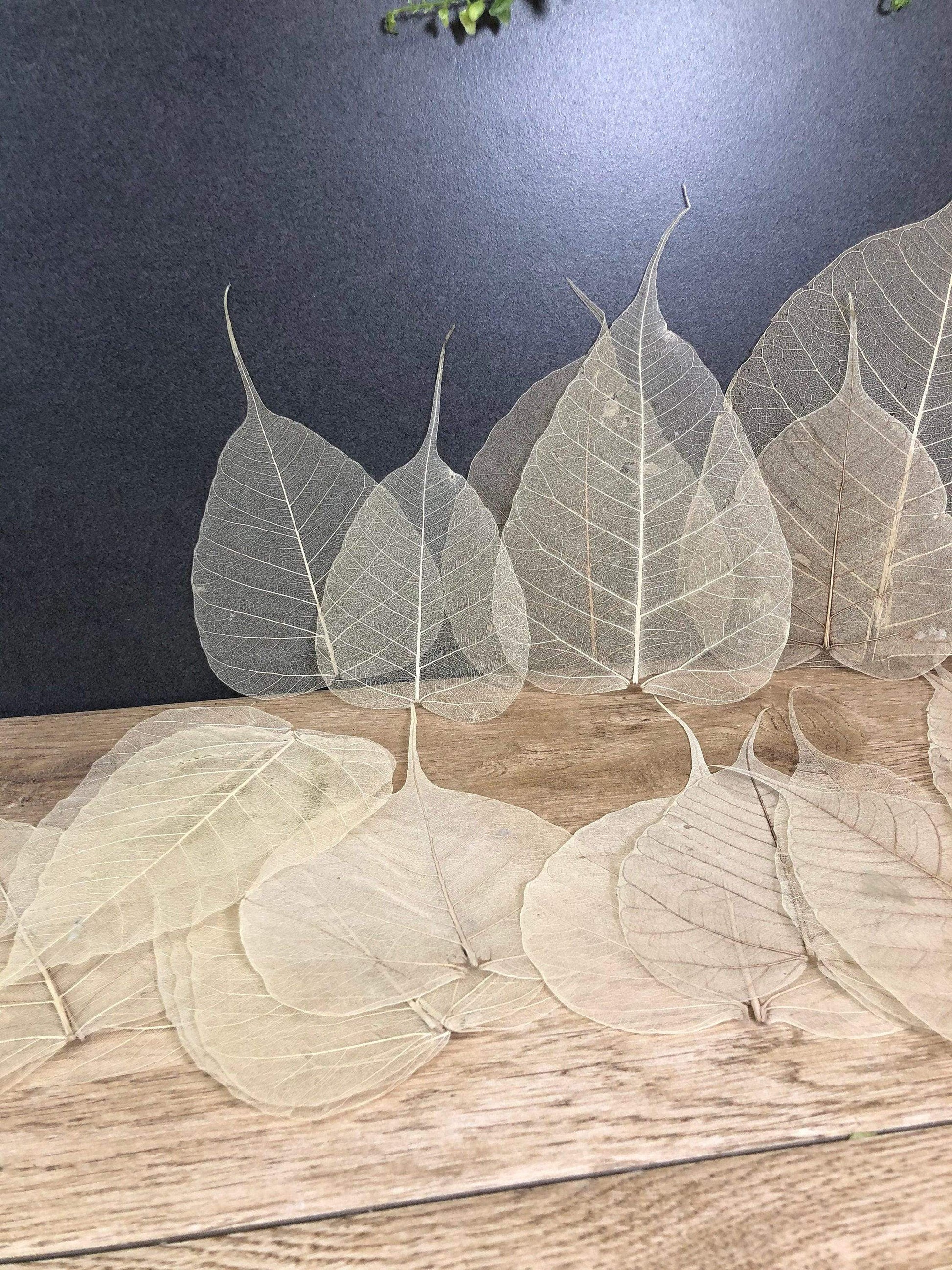 200 Skelettblätter Schleierblätter Weiß – handgemacht aus Seiden- und Kunstblumen, langlebig & pflegeleicht von SarahsFlowerStudio