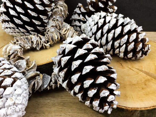 Zapfen groß 5 Stück Zapfen Weihnachten Weihnachtlich Hutzel Herbst herbstlich natürlich getrocknet gekalkt Zapfen Hutzel Herbst Weihnachten – handgemacht aus Seiden- und Kunstblumen, langlebig & pflegeleicht von SarahsFlowerStudio