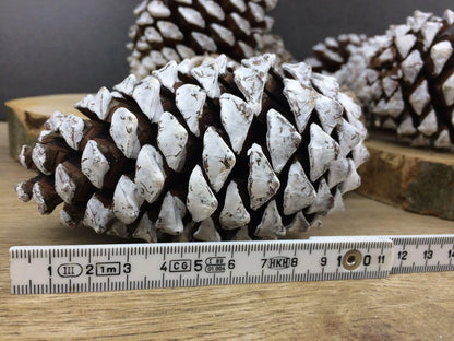 Zapfen groß 5 Stück Zapfen Weihnachten Weihnachtlich Hutzel Herbst herbstlich natürlich getrocknet gekalkt Zapfen Hutzel Herbst Weihnachten – handgemacht aus Seiden- und Kunstblumen, langlebig & pflegeleicht von SarahsFlowerStudio