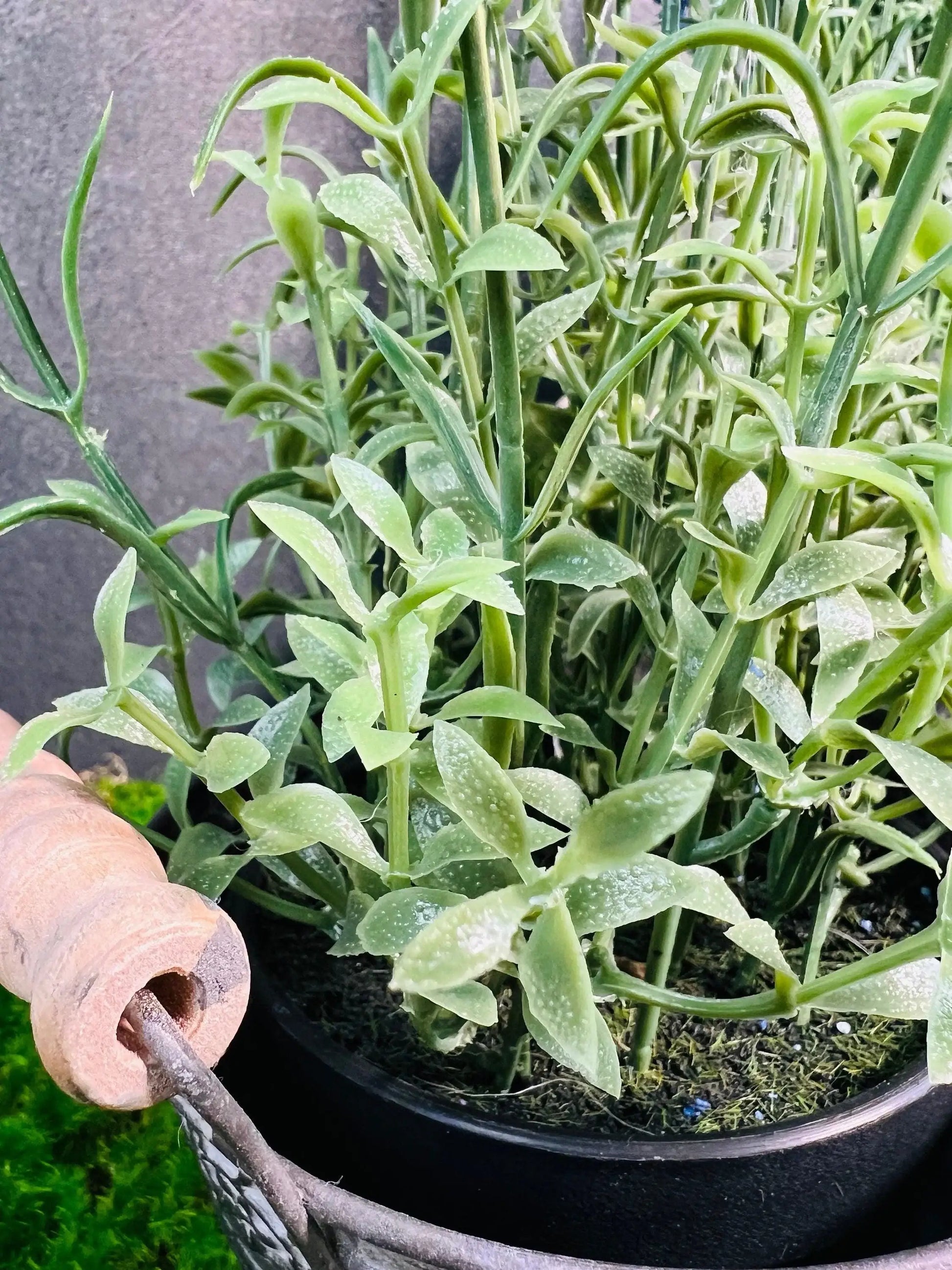 Lavendel Lavendelpflanze Lavendelbusch Topf Metalltopf Eimer Metalleimer Pflanze Künstlich Kunstblumen Faux Flower – handgemacht aus Seiden- und Kunstblumen, langlebig & pflegeleicht von SarahsFlowerStudio