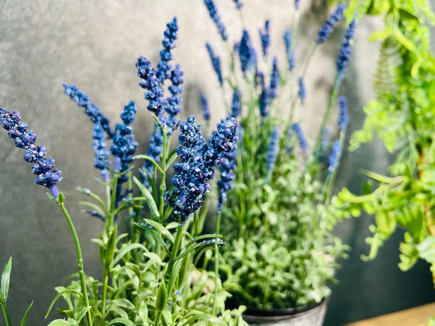 Lavendel Lavendelpflanze Lavendelbusch Topf Metalltopf Eimer Metalleimer Pflanze Künstlich Kunstblumen Faux Flower – handgemacht aus Seiden- und Kunstblumen, langlebig & pflegeleicht von SarahsFlowerStudio