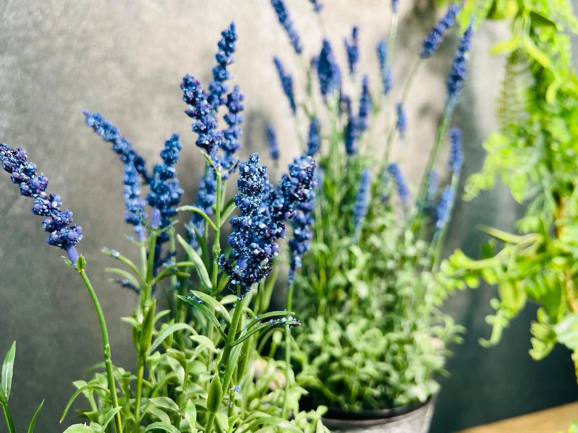 Lavendel Lavendelpflanze Lavendelbusch Topf Metalltopf Eimer Metalleimer Pflanze Künstlich Kunstblumen Faux Flower – handgemacht aus Seiden- und Kunstblumen, langlebig & pflegeleicht von SarahsFlowerStudio