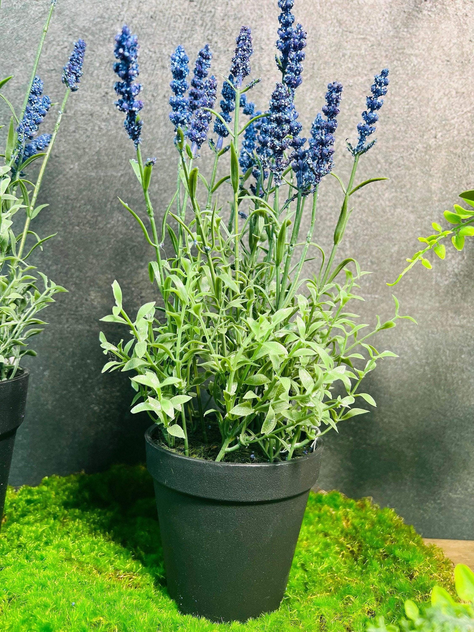 Lavendel Lavendelpflanze Lavendelbusch Topf Metalltopf Eimer Metalleimer Pflanze Künstlich Kunstblumen Faux Flower – handgemacht aus Seiden- und Kunstblumen, langlebig & pflegeleicht von SarahsFlowerStudio