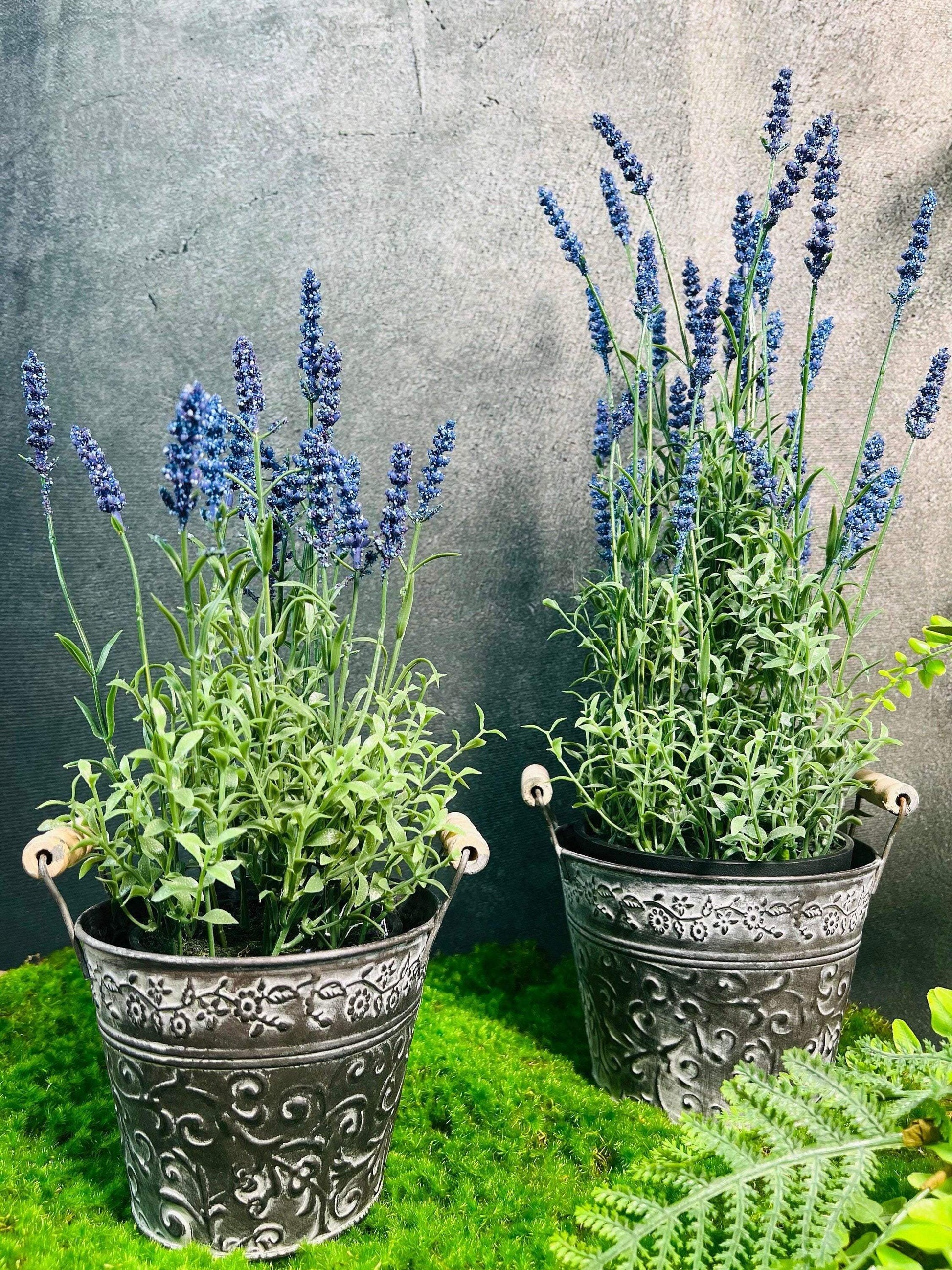 Lavendel Lavendelpflanze Lavendelbusch Topf Metalltopf Eimer Metalleimer Pflanze Künstlich Kunstblumen Faux Flower – handgemacht aus Seiden- und Kunstblumen, langlebig & pflegeleicht von SarahsFlowerStudio